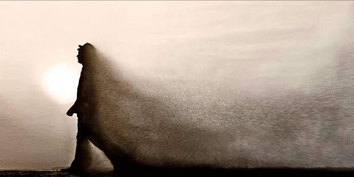 Твой  выбор – плоть  или  дух (Кузин Василий)