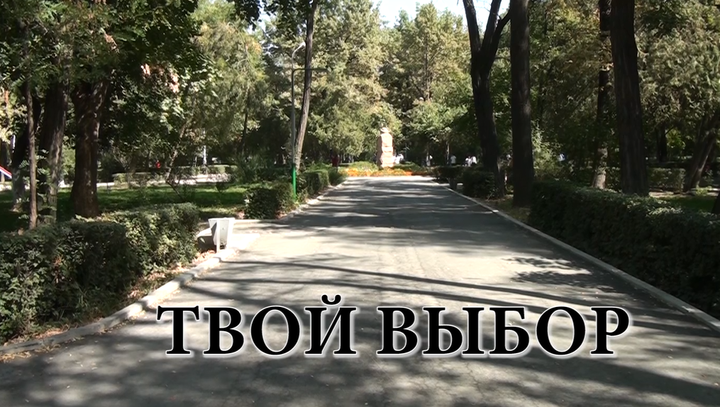 Твой выбор