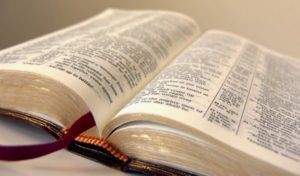 Опасно ли применять Писание в жизни?