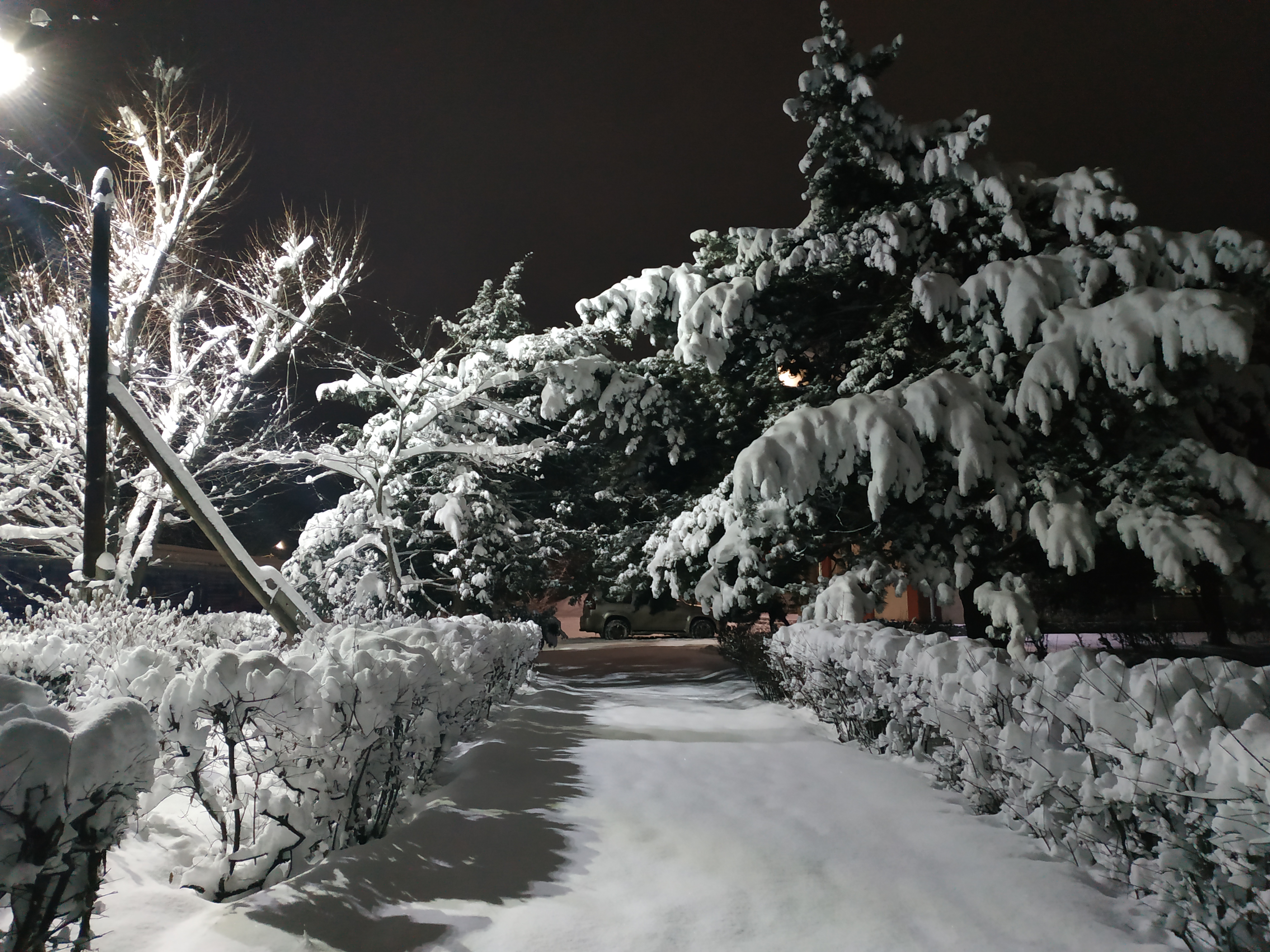 Что для тебя Рождество? 22.12.19