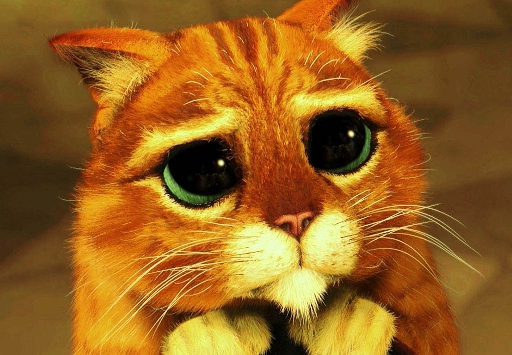 Деструктивное влияние саможалости на формирование характера! Другими словами САМОЖАЛОСТЬ!