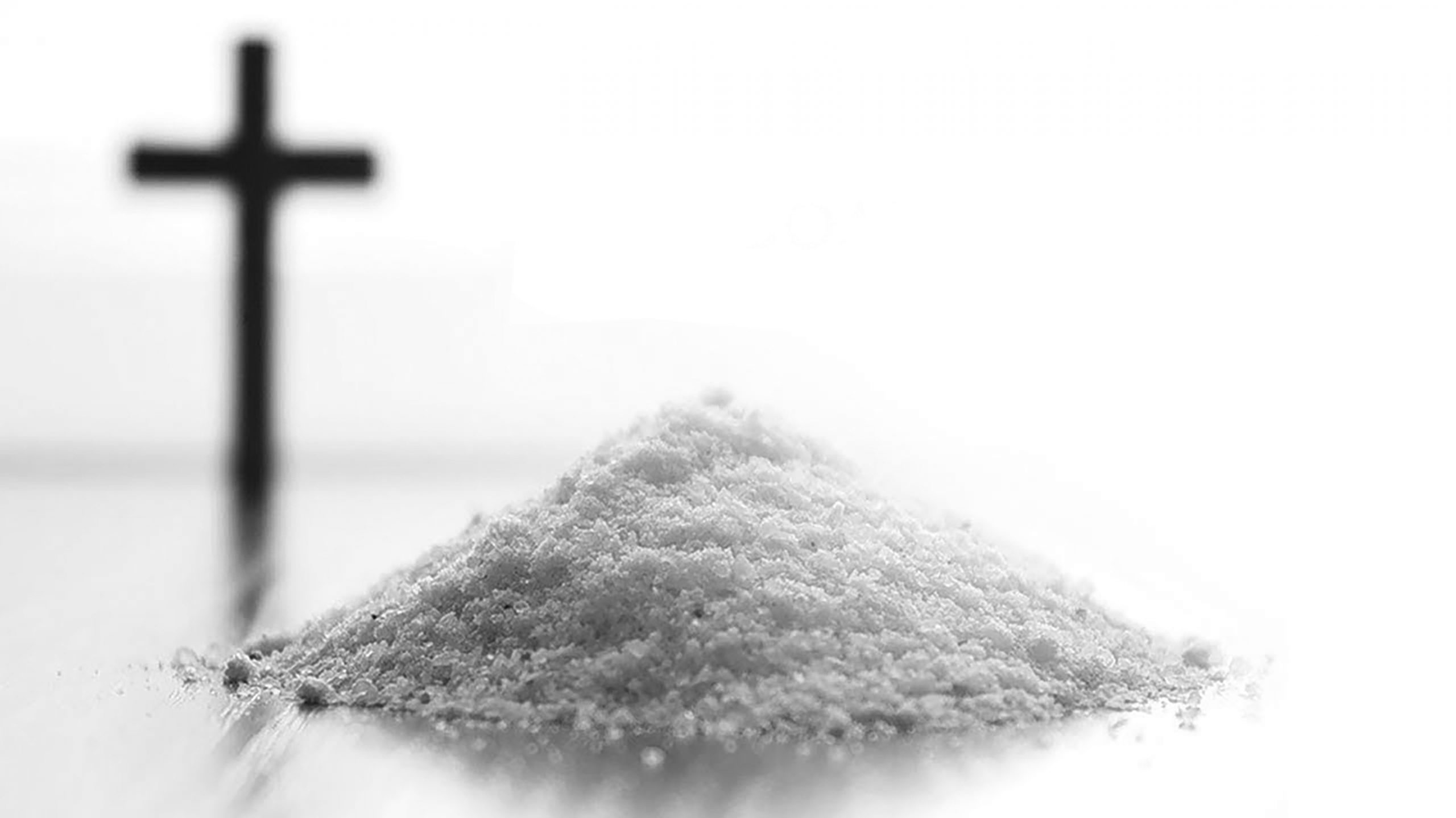 Новая реальность