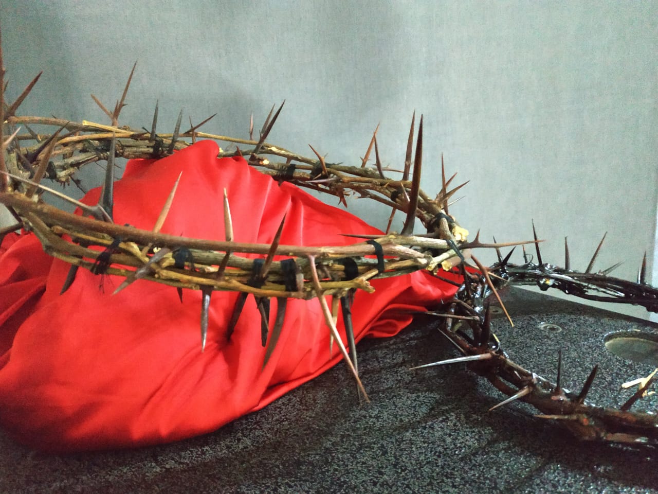 Как атеистка отвергла Бога из-за науки, а наука привела ее к Богу