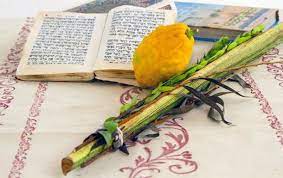 Суккот (Праздник кущей) — Праздник урожая