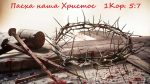 Он выбрал гвозди.